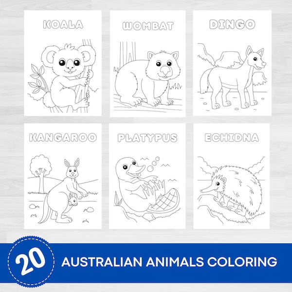 Native Australian Animals Coloring Pages | Australian Animals Printables | Australian Mammals Marsupials Coloring | Coloring Printables