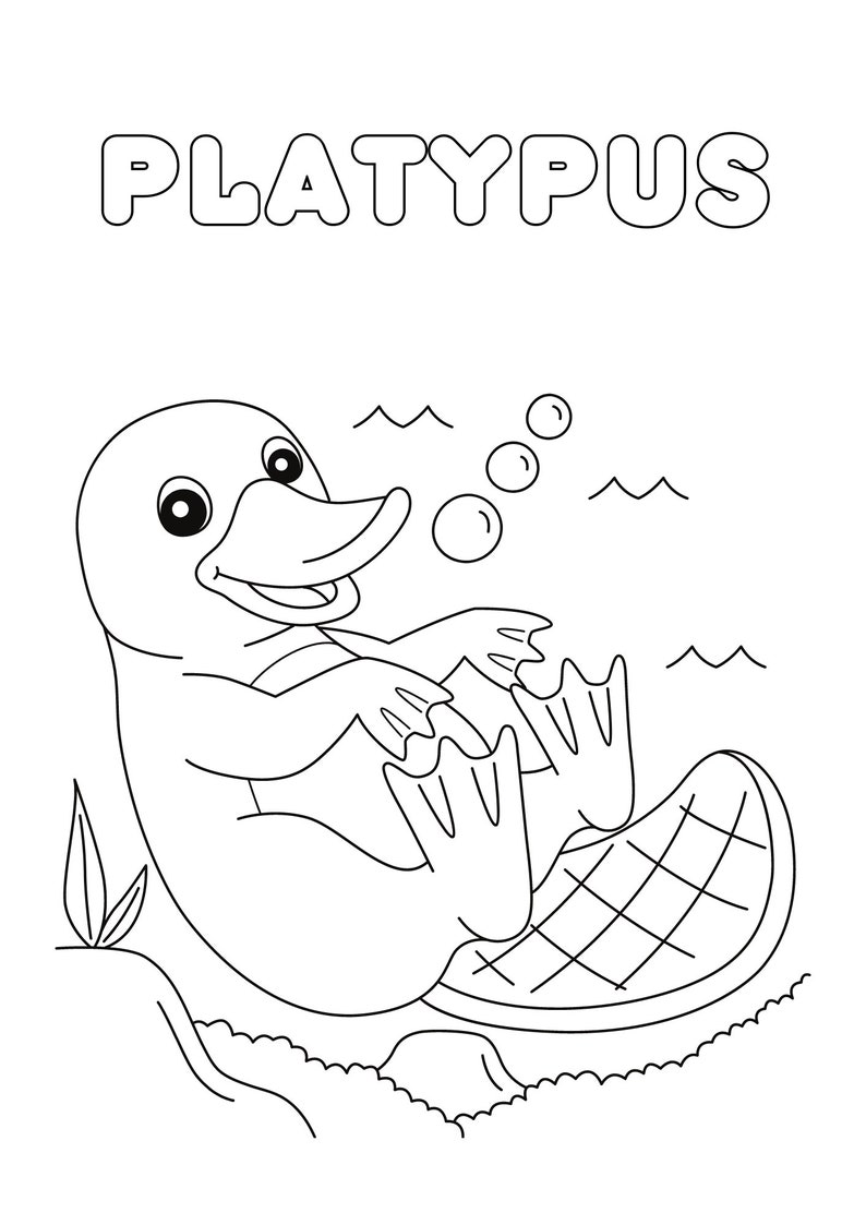 May include: A black and white line drawing of a platypus swimming in water. The platypus is smiling and has a webbed foot. The word "PLATYPUS" is written in large letters at the top of the image.