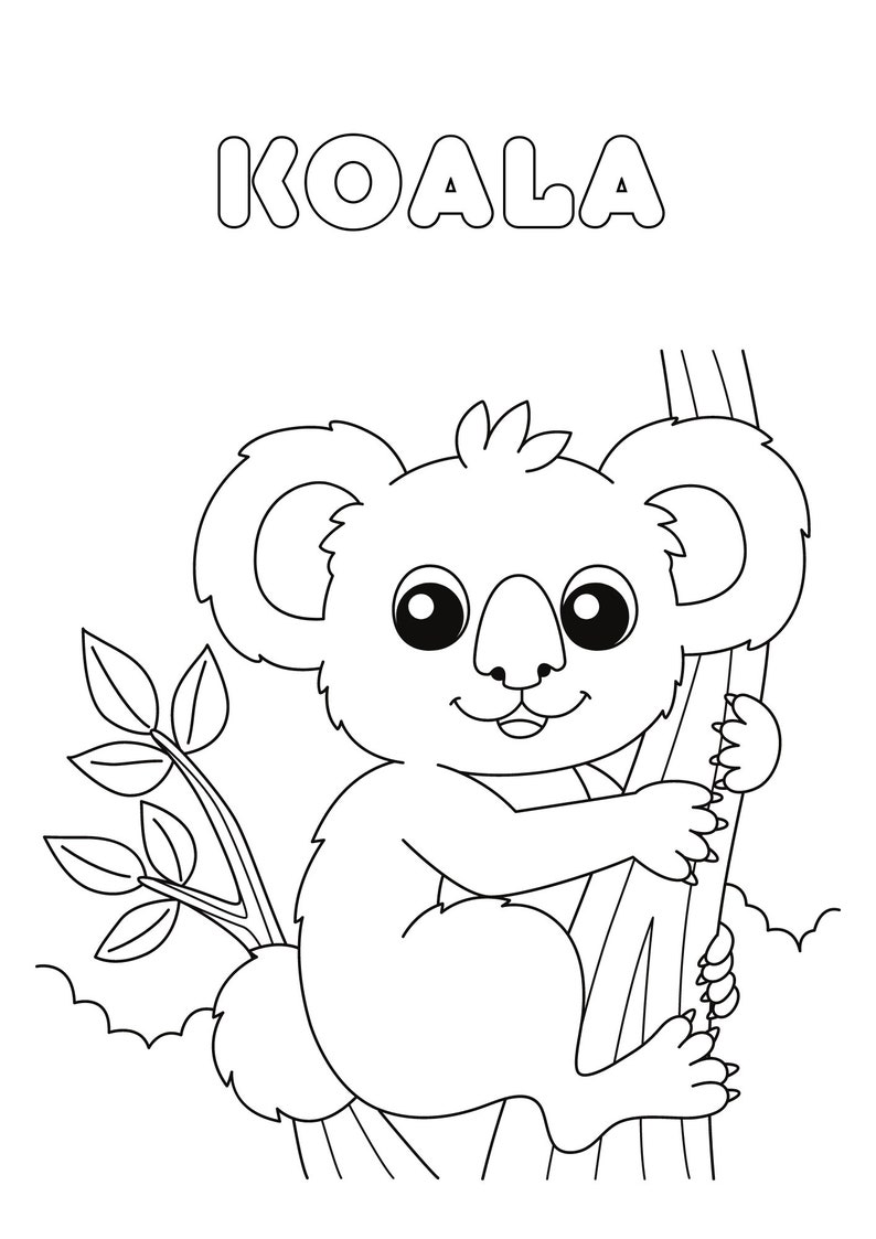 May include: A black and white line drawing of a koala sitting on a tree branch. The koala is smiling and has large, round eyes. The word "KOALA" is written in large, bold letters above the koala.