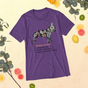 Bumble-Bum:  Boston Terrier Definition S/S Tri-blend Tee