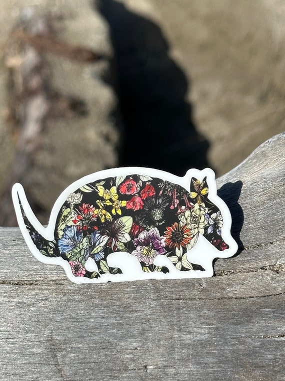 I'm Kind of a Big 'Dill - Armadillo Sticker