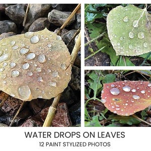 Printable Paint Style Water Drops on Leaves Wall Art