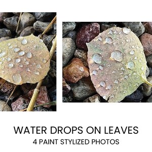 Printable Paint Style Water Drops on Leaves Wall Art
