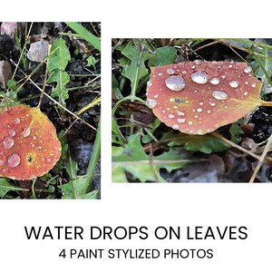 Printable Paint Style Water Drops on Leaves Wall Art