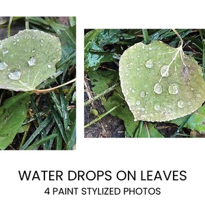 Printable Paint Style Water Drops on Leaves Wall Art