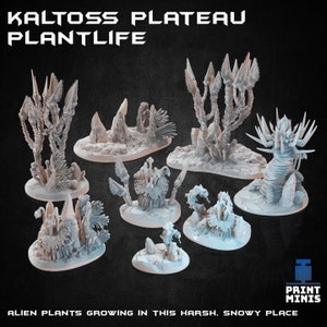 Alien Kristall Pflanzenwelt Pflanzenwelt Pflanzenwelt Landschaft Landschaft TTRPG Fantasy dnd