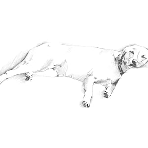 Pet Portrait From Photo, Custom Pet Drawing, Pet Remembrance Gift, Hand-Drawn Pet Portrait, Dog Lover Gift, Custom Dog Portrait, Fathers Day