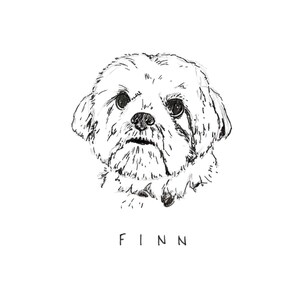 K&ouml;nnte beinhalten: Eine Schwarz-Wei&szlig;-Strichzeichnung eines Hundegesichts mit gro&szlig;en Augen und einem flauschigen Aussehen. Der Name "FINN" steht in einfachen Gro&szlig;buchstaben unter dem Bild. Das Kunstwerk befindet sich auf wei&szlig;em Hintergrund.
