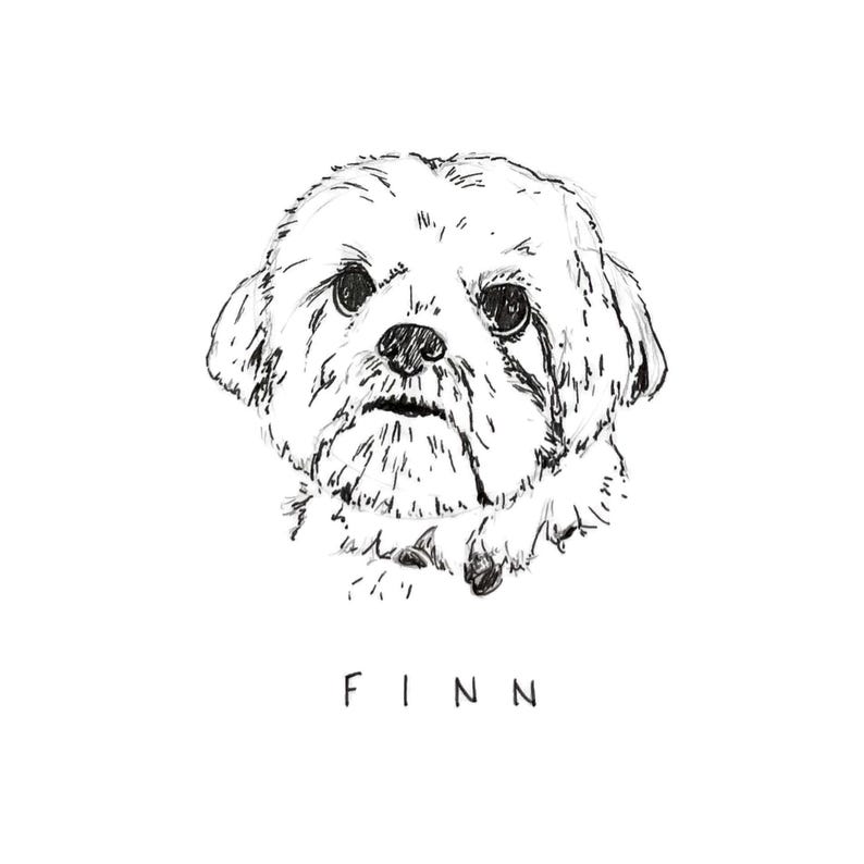 K&ouml;nnte beinhalten: Eine Schwarz-Wei&szlig;-Strichzeichnung eines Hundegesichts mit gro&szlig;en Augen und einem flauschigen Aussehen. Der Name "FINN" steht in einfachen Gro&szlig;buchstaben unter dem Bild. Das Kunstwerk befindet sich auf wei&szlig;em Hintergrund.