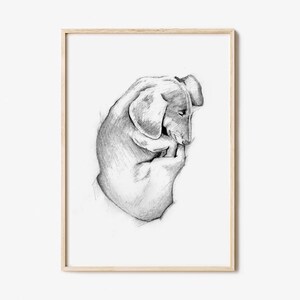 Dachshund Pencil Sketch Black and White Digital Download Dog Lover Art Print Printable Wall Decor Instant Download Pet Portrait image 3