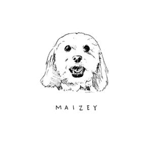 K&ouml;nnte beinhalten: Schwarz-wei&szlig;e Strichzeichnung eines Hundegesichts mit offenem Maul, das zu l&auml;cheln scheint. Der Hund hat lange, h&auml;ngende Ohren und ein flauschiges Aussehen. Der Name "MAIZEY" steht in einfachen Gro&szlig;buchstaben darunter.