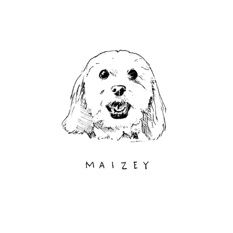 K&ouml;nnte beinhalten: Schwarz-wei&szlig;e Strichzeichnung eines Hundegesichts mit offenem Maul, das zu l&auml;cheln scheint. Der Hund hat lange, h&auml;ngende Ohren und ein flauschiges Aussehen. Der Name "MAIZEY" steht in einfachen Gro&szlig;buchstaben darunter.