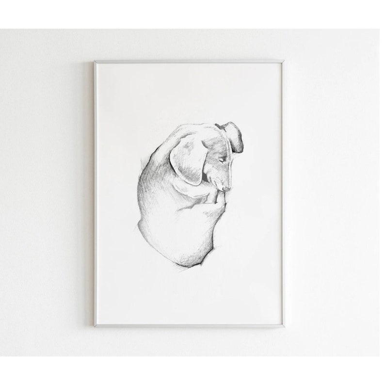 Dachshund Pencil Sketch Black and White Digital Download Dog Lover Art Print Printable Wall Decor Instant Download Pet Portrait image 1