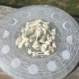 Engraved Coyote Bone Runes – Elder Futhark Set Witchcraft & Oddities Divination Dark Divination Set