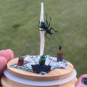 May include: A miniature diorama featuring a black beetle on a stick, a green beetle, a bottle of liquor, and money on a wooden base.