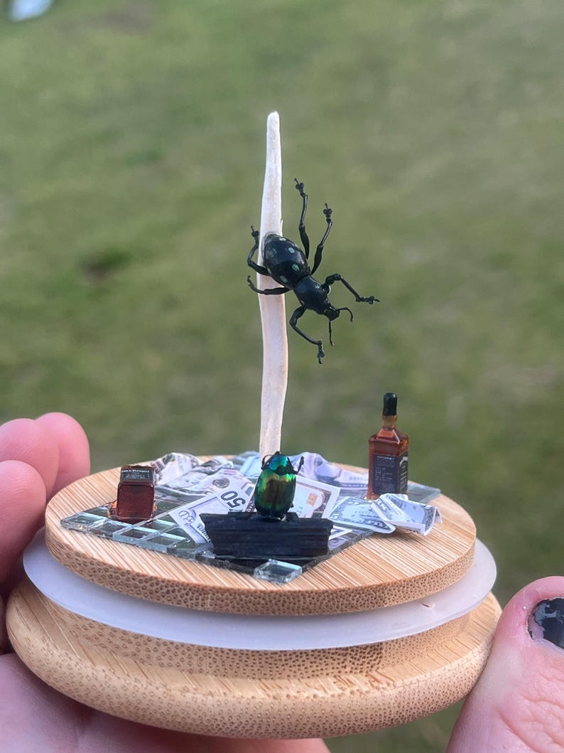 May include: A miniature diorama featuring a black beetle on a stick, a green beetle, a bottle of liquor, and money on a wooden base.