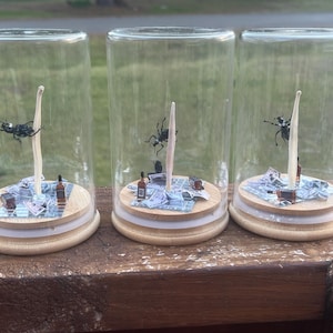 May include: Three glass jars with wooden lids, each containing a black and white beetle, a white stick, and a miniature scene of a picnic with miniature bottles and a checkered blanket.
