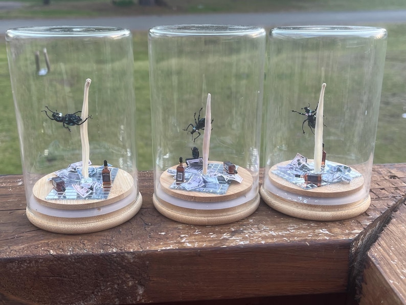 May include: Three glass jars with wooden lids, each containing a black and white beetle, a white stick, and a miniature scene of a picnic with miniature bottles and a checkered blanket.