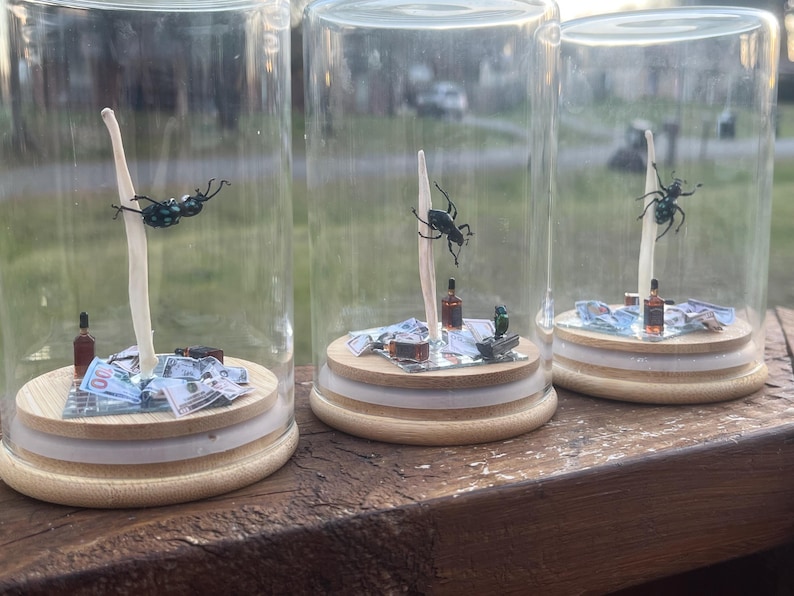 May include: Three glass jars with wooden lids, each containing a black and green insect, a miniature bottle of liquor, and a small pile of money. The jars are arranged in a row on a wooden surface.