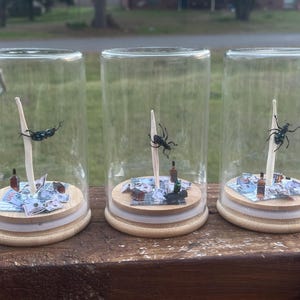 May include: Three glass jars with wooden lids, each containing a miniature scene with a black and green beetle, a small bottle, and a pile of paper money.