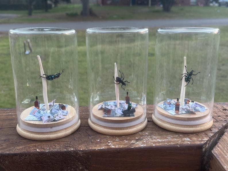 May include: Three glass jars with wooden lids, each containing a miniature scene with a black and green beetle, a small bottle, and a pile of paper money.