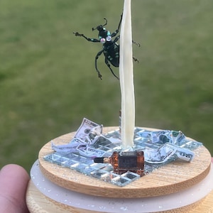 May include: A miniature figurine of a beetle perched on a white pole, with a miniature bottle of whiskey and dollar bills on a wooden base.
