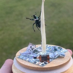 May include: A miniature figurine of a beetle on a pole, with a miniature bottle of whiskey and dollar bills on a wooden base.