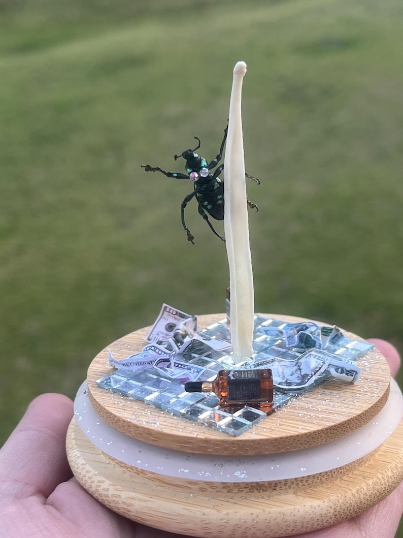 May include: A miniature figurine of a beetle on a pole, with a miniature bottle of whiskey and dollar bills on a wooden base.