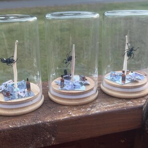 May include: Three glass jars with wooden lids, each containing a miniature scene with a black insect and a small bottle. The scene is set on a printed paper background.