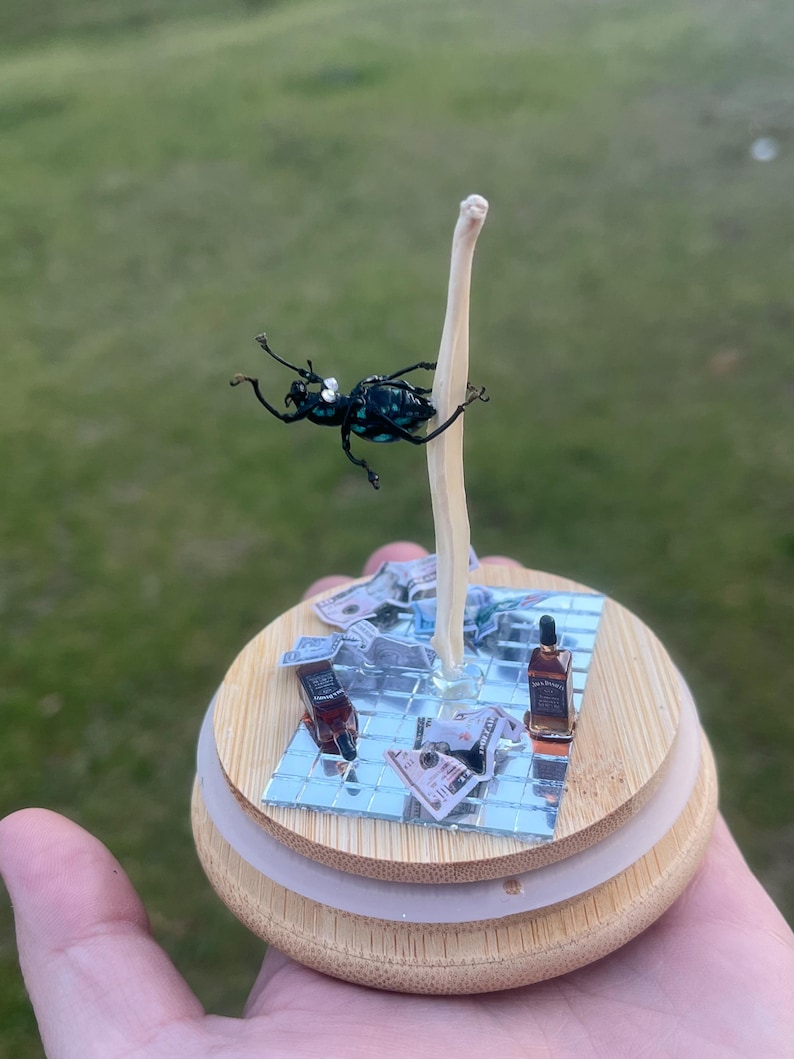 May include: A miniature diorama of a beetle on a pole, surrounded by miniature dollar bills, a bottle of whiskey, and a mirrored dance floor. The diorama is made of wood and is sitting on a hand.