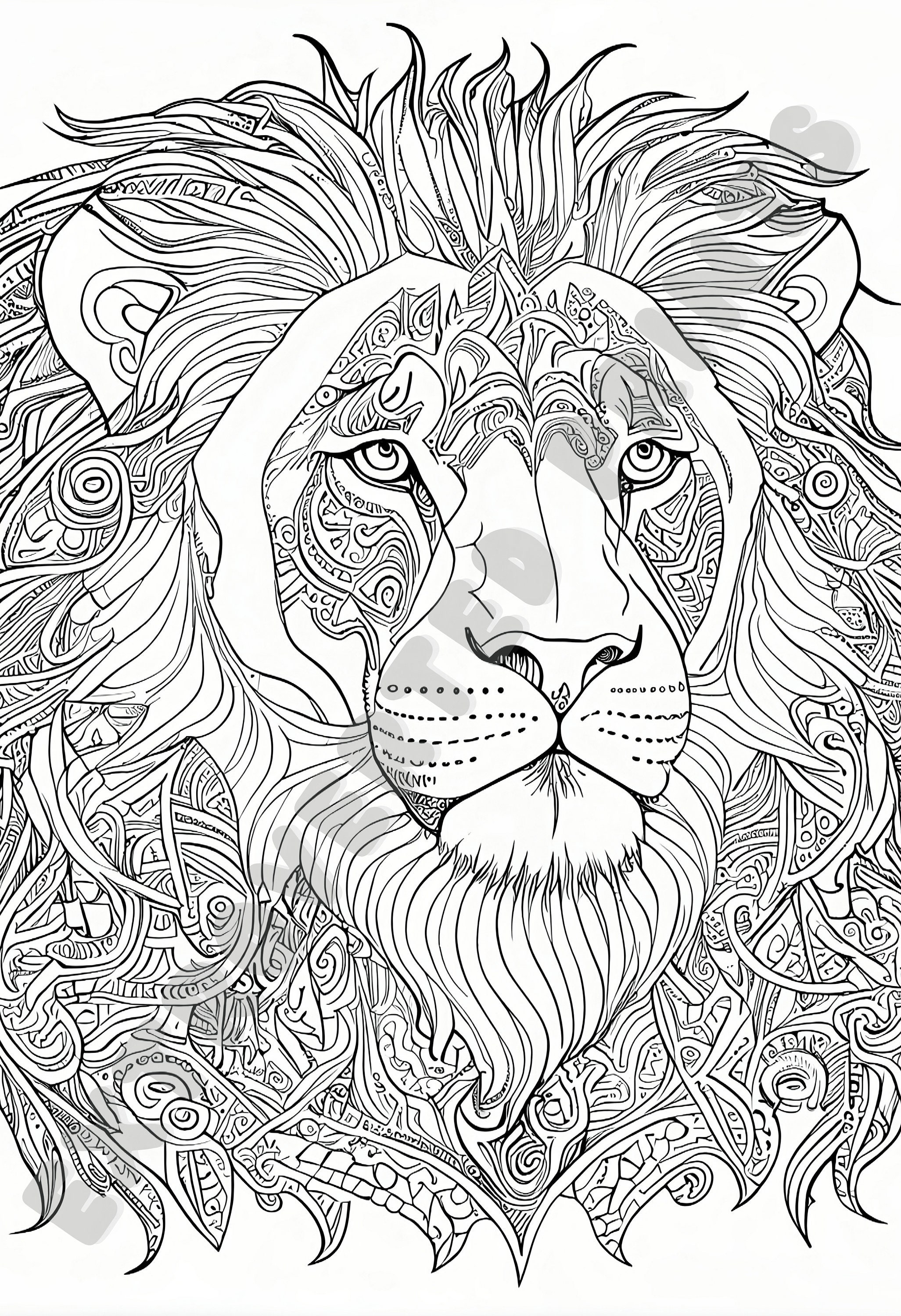 Coloring Pages for Kids and Adults