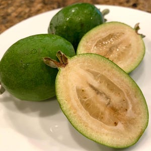 Feijoa Sellowiana, Pineapple Guava - 1 lb Fresh Fruits