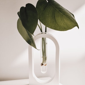 May include: A white ceramic vase with a rounded arch design holds a single stem of a green plant with large leaves. The vase is on a white surface.