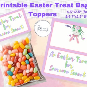 Easter treat bag topper party bag topper Printable favor goodie bag topper Happy Easter Bunny bag topper cookie candy bag topper ministering