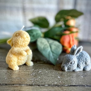 Bunny Candle Duo - Handcrafted Soy and Beeswax Candle - Perfect Decor/Gift for Spring and Easter - Various Colors