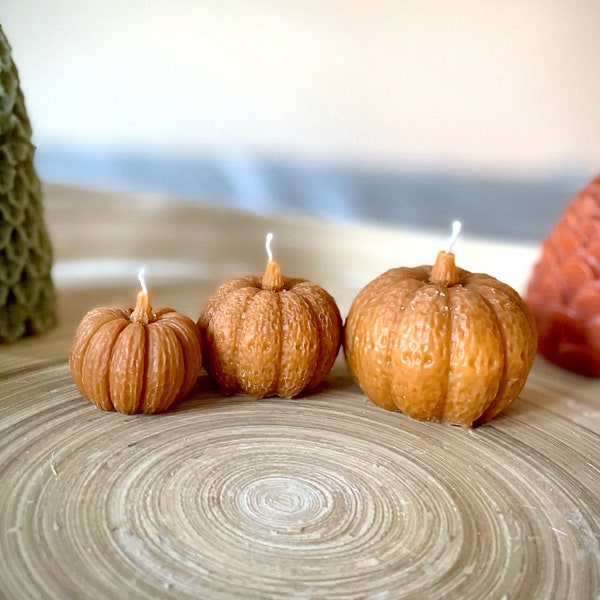 Pumpkin Candle Trio - Handcrafted Soy and Beeswax Candle - Realistic Sculpture Candle - Autumn Decor