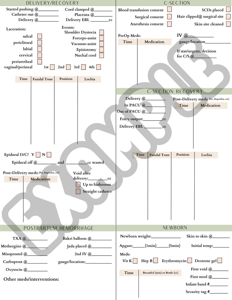 OB Nurse Template, Labor and Delivery nurse report sheet, OB nurse report sheet, OB nurse brain, nurse template, nurse pdf image 3