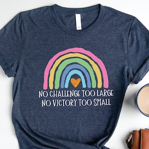 Special Education Teacher T Shirt, SPED Team Gift Tshirt, No Challenge Too Large No Victory Too Small Tee, Rainbow Special Ed  Sweatshirt