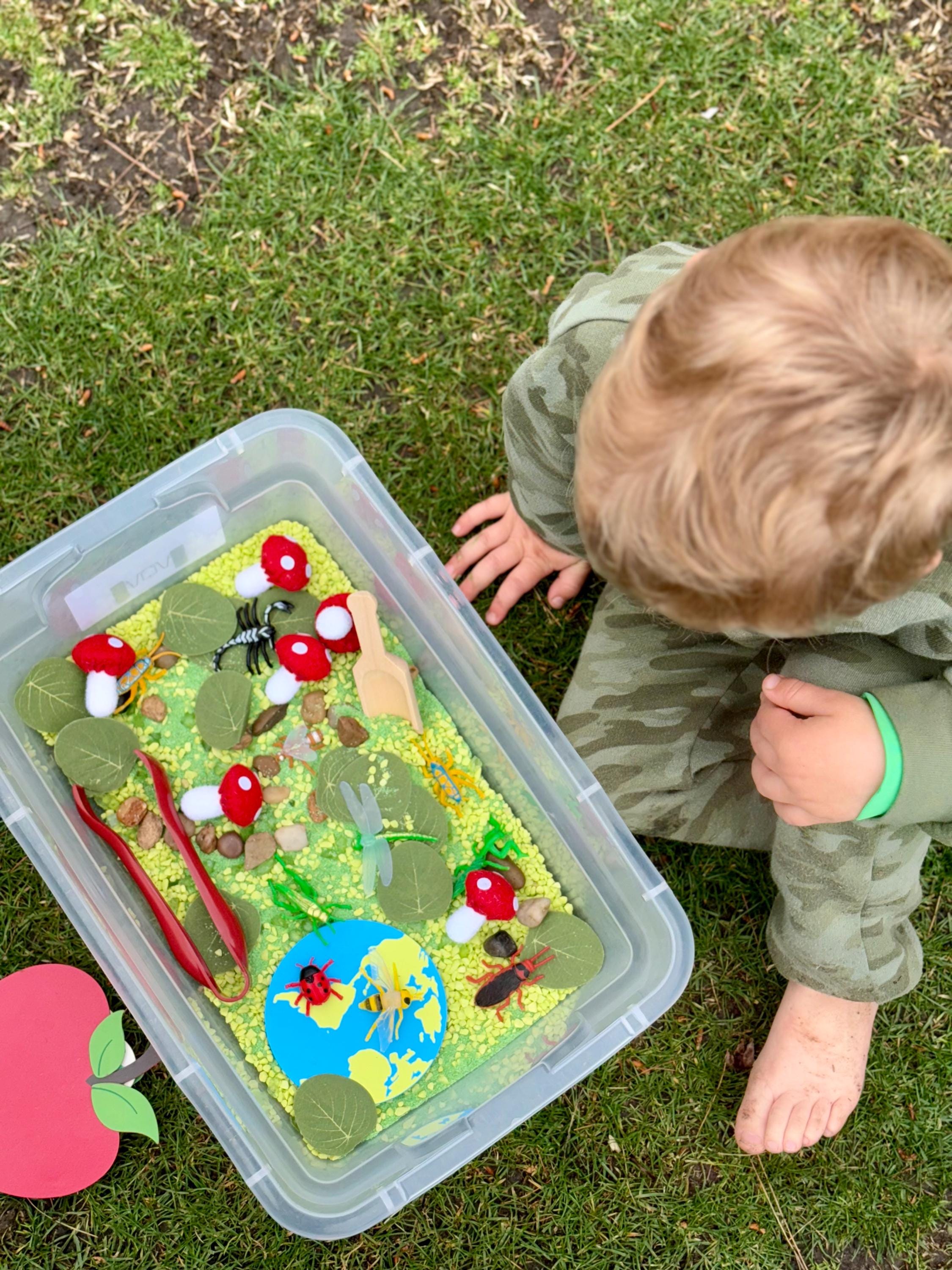 Tiddle Insect Bug Sensory Bin Filler Earthy Sensory Activity Flower Mushroom ...