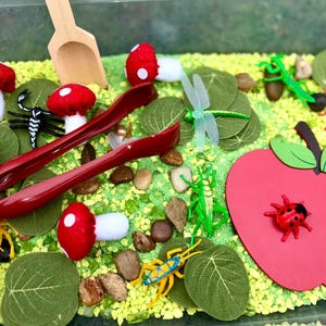 Bug Sensory Bin Filler Earthy Sensory Activity Flower Mushroom Montessori Play Preschool gift Toddler Insect Spring sensory for toddler kids