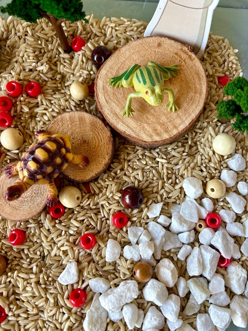 Mushroom Nature Sensory Bin Kit Pond Sensory Kit Frog Sensory Activity ...