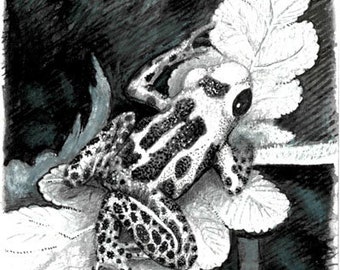 Frog Art, Frog Print, Weird Frog Artwork, Frog Poster, Frog Print, Aesthetic Frog Print.