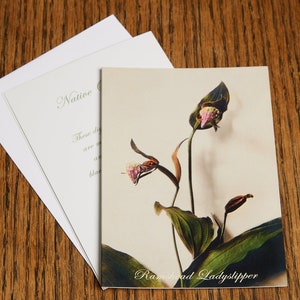 May include: A close-up of a Ramshead Ladyslipper orchid with pink and white flowers. The orchid is on a light brown background with the text "Native" and "These delicate orchids are native to the woodlands of the eastern United States."