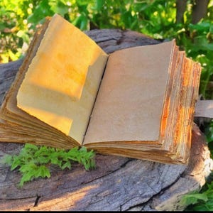 Pode incluir: Um di&aacute;rio aberto em estilo antigo, com p&aacute;ginas amareladas e envelhecidas. O livro &eacute; encadernado com uma tira de couro e repousa sobre uma superf&iacute;cie de madeira desgastada, rodeado por folhagem verde. As p&aacute;ginas est&atilde;o em branco, para escrever ou desenhar.