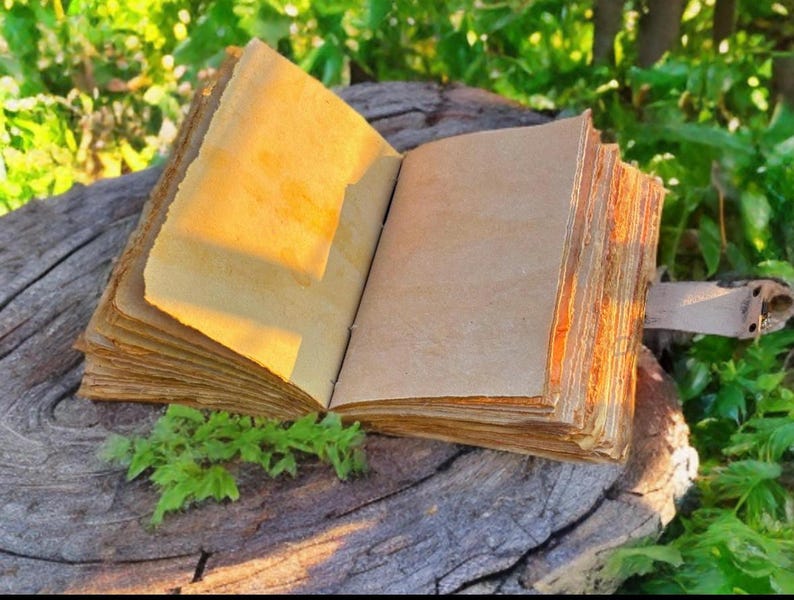 Pode incluir: Um di&aacute;rio aberto em estilo antigo, com p&aacute;ginas amareladas e envelhecidas. O livro &eacute; encadernado com uma tira de couro e repousa sobre uma superf&iacute;cie de madeira desgastada, rodeado por folhagem verde. As p&aacute;ginas est&atilde;o em branco, para escrever ou desenhar.