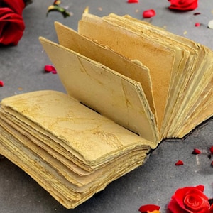 Puede incluir: Un diario abierto de aspecto antiguo con p&aacute;ginas amarillentas y una cubierta de cuero desgastada. El diario est&aacute; rodeado de p&eacute;talos de rosa roja sobre una superficie gris.