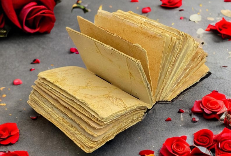 Puede incluir: Un diario abierto de aspecto antiguo con p&aacute;ginas amarillentas y una cubierta de cuero desgastada. El diario est&aacute; rodeado de p&eacute;talos de rosa roja sobre una superficie gris.