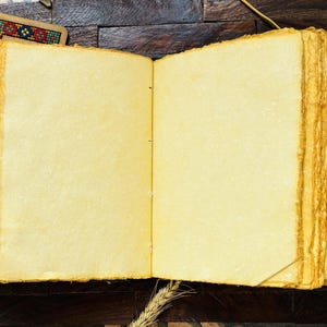 El Diario de Cuero del Tarot del Loco: Libro de Sombras Grimorio Antiguo imagen 8
