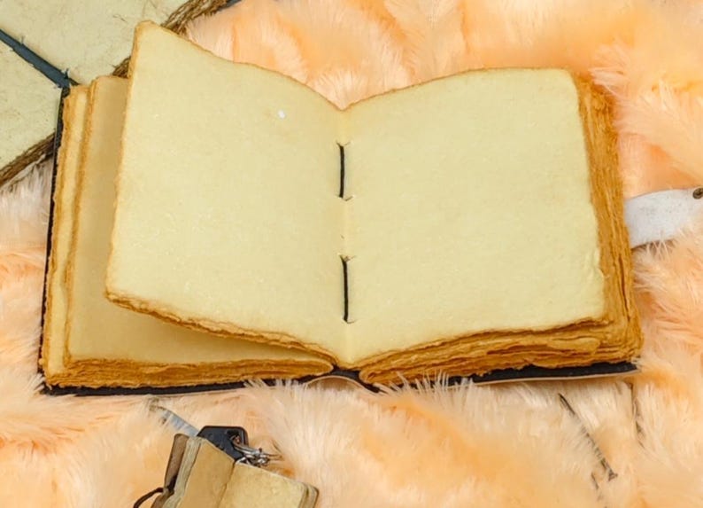 May include: A blank, cream-colored journal with a brown leather cover and black stitching. The journal is open and lying on a peach-colored fuzzy surface.