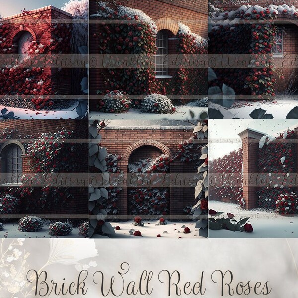 Winter Red Rose Brick Wall, Digital Backdrop, Red Rose Brick Wall Digital Background, White Digital Background, Valentine, Collection 1